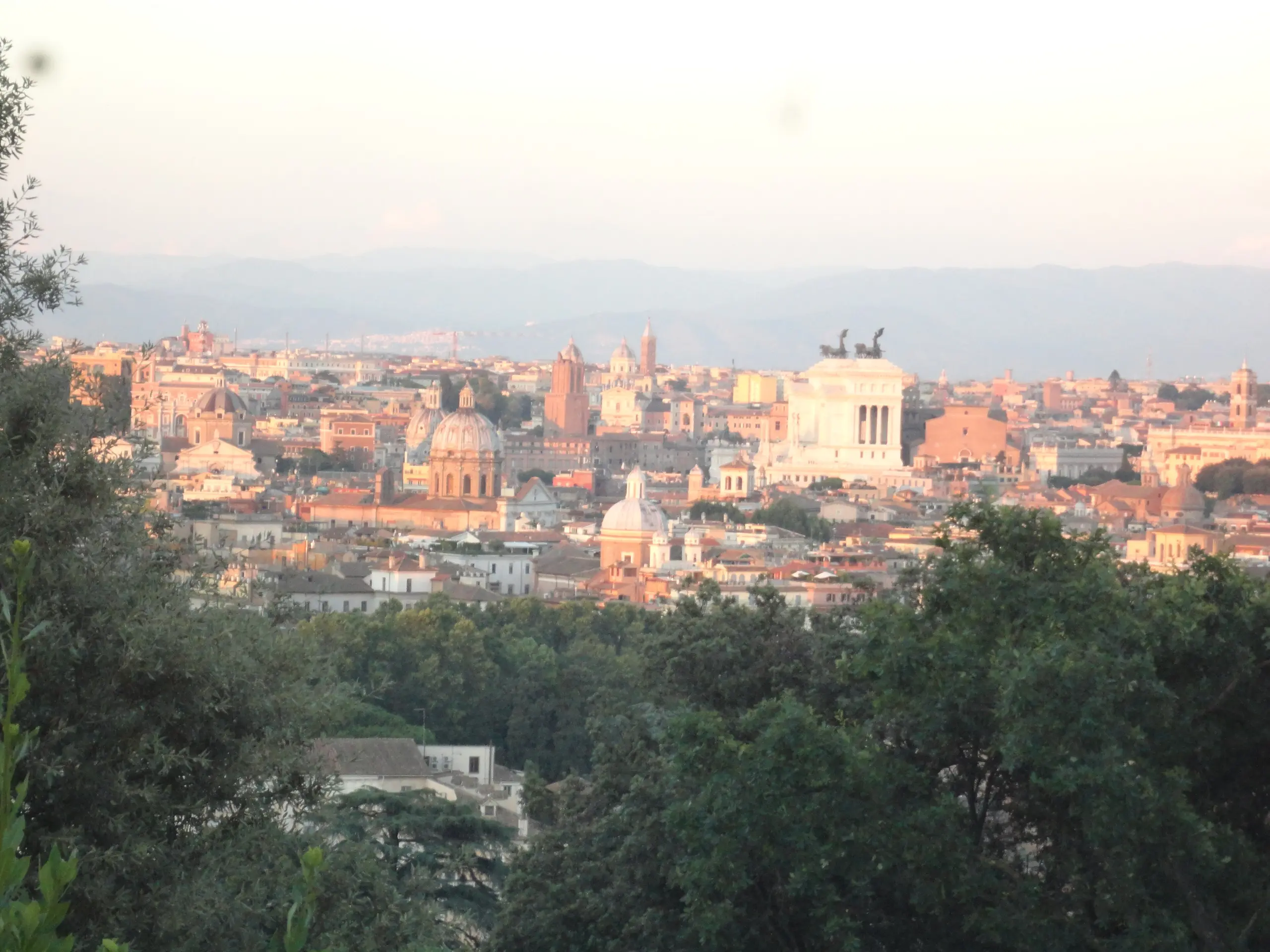 Warm early light on Rome's rooftops and domes seen through pines from the Gianicolo, with the white Vittoriano on the skyline.